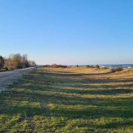 Bright With - By Traum * Gedser