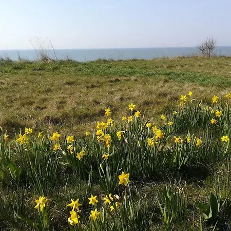 Bright With - By Traum