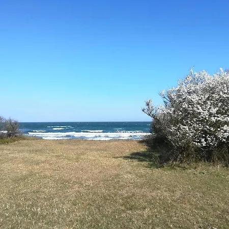 Bright With - By Traum * Gedser