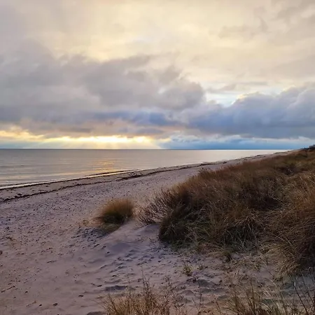 Bright With - By Traum *